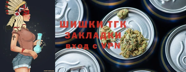 2c-b Заводоуковск